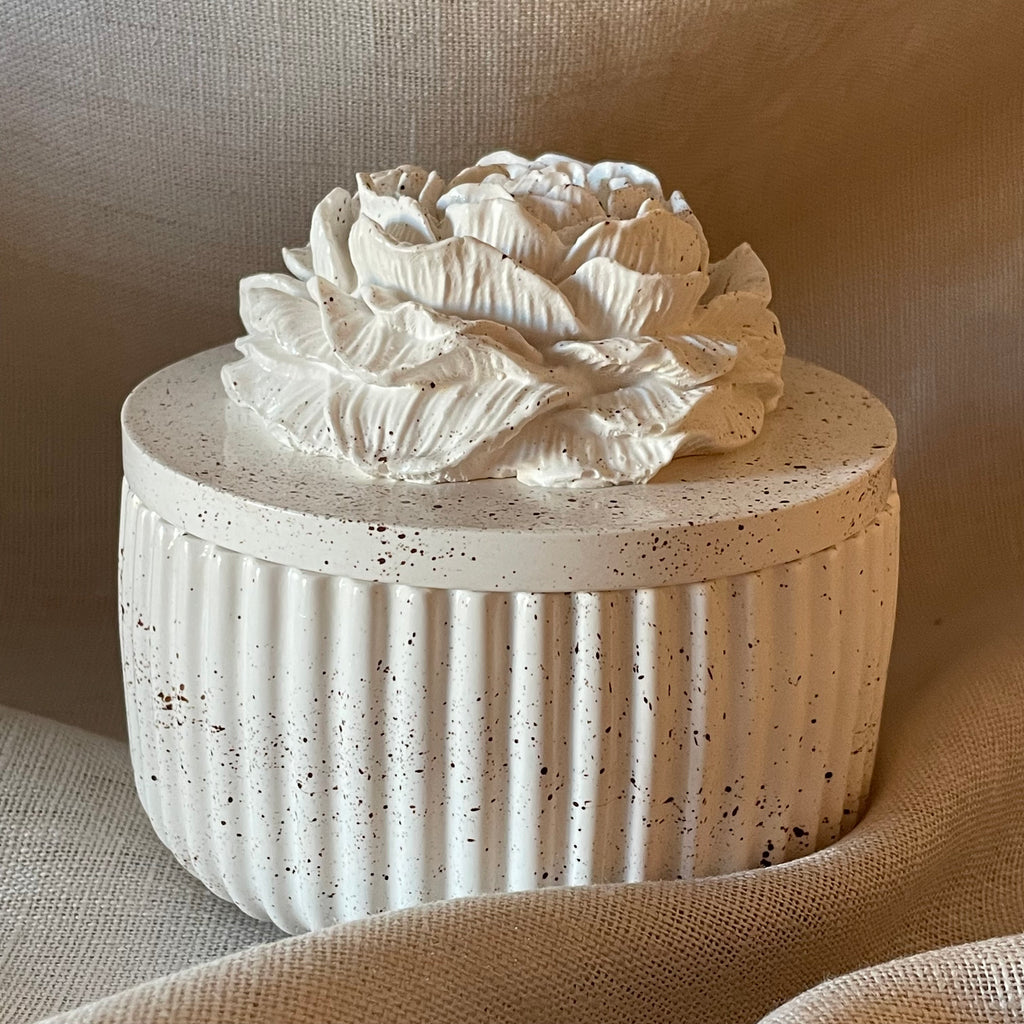 Flor de Yeso — Vela Aromática en Recipiente de Yeso